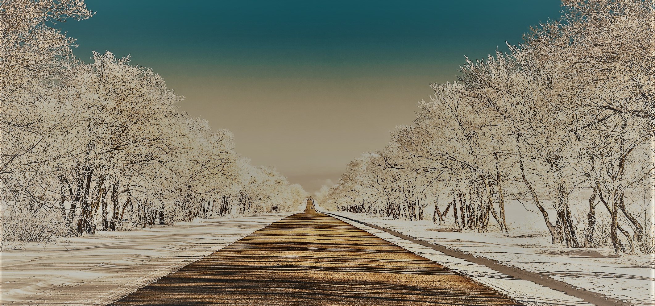 Winter Road