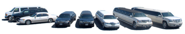 Newton Ma Limo service